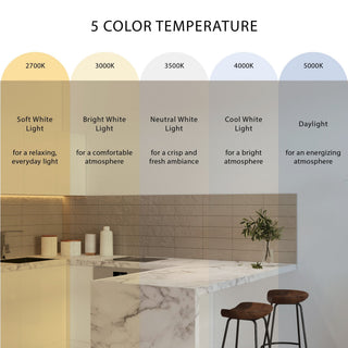 SF0703212_FEAT
