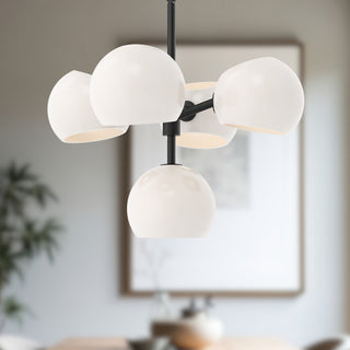 CH548518MBOP
