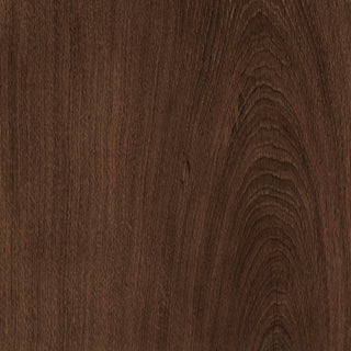 Dottie 24 in Wall/Picture Light

